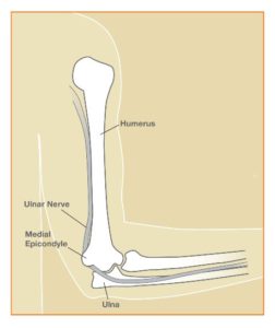 Cubital_Fig1